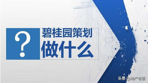 碧桂園項(xiàng)目開(kāi)盤前策劃標(biāo)準(zhǔn)動(dòng)作指引