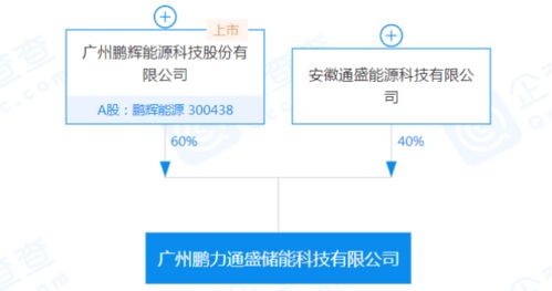 鵬輝能源參股設(shè)立儲能公司，加碼信息系統(tǒng)集成服務(wù)布局