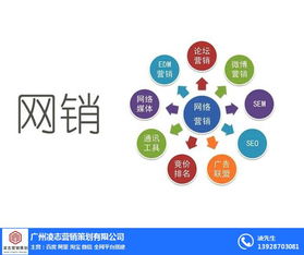 海珠區(qū)企業(yè)畫冊設(shè)計專家——凌志營銷策劃，信息系統(tǒng)集成服務(wù)優(yōu)質(zhì)商家
